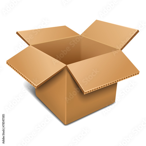 Empty open cardboard box