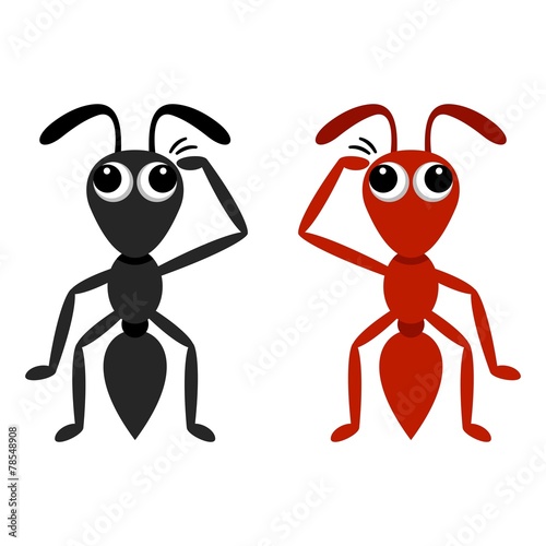 Black and red ant