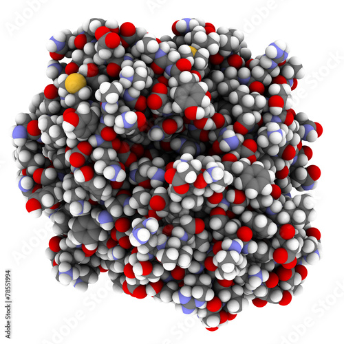 Adiponectin protein hormone. © molekuul.be
