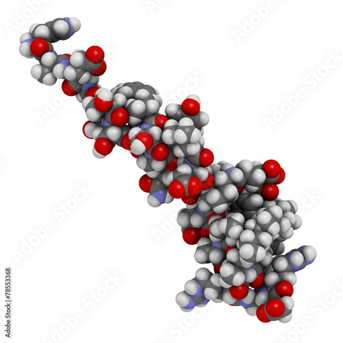 Liraglutide peptide drug molecule. 