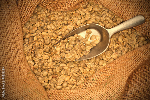 raw coffee beans