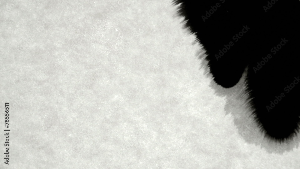 Ink on Parchment Paper