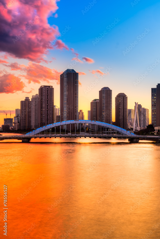 Obraz premium Tokyo skyline, Japan.