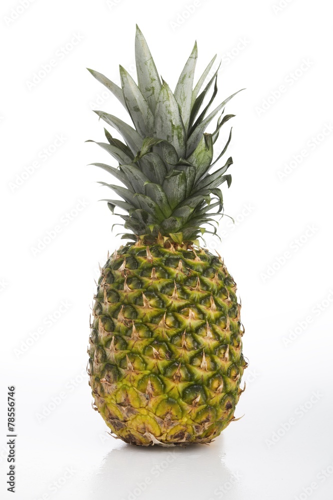 Colourful fresh pineapple white background Colourful fresh pineapple white background