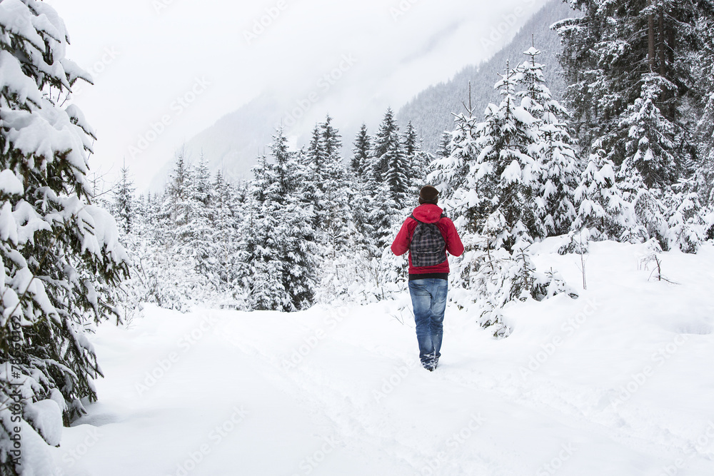 Young man hiking in wintry forest landscape Young man hiking in wintry forest landscape