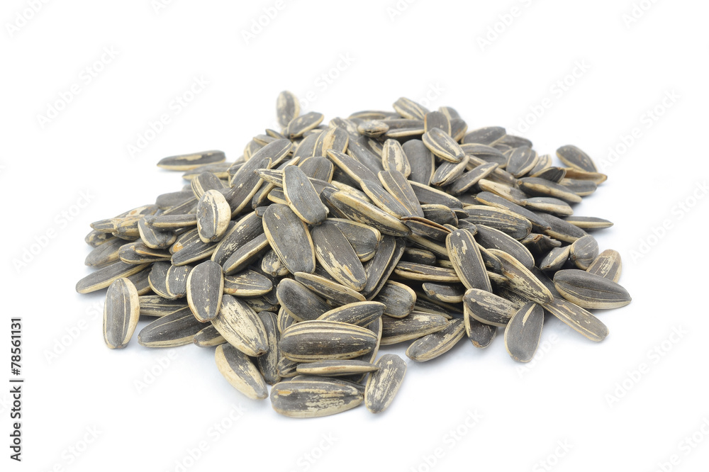sunflower seed sunflower seed