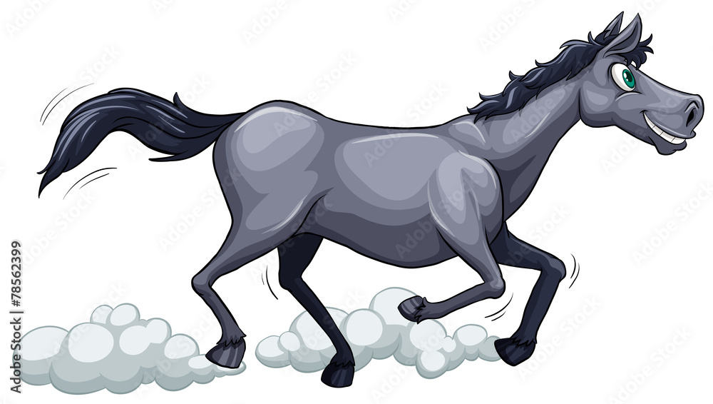 A gray horse running