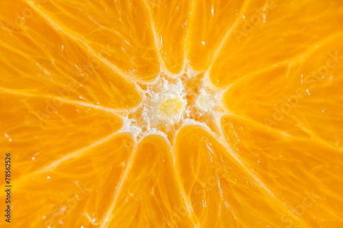 Macro image of orange