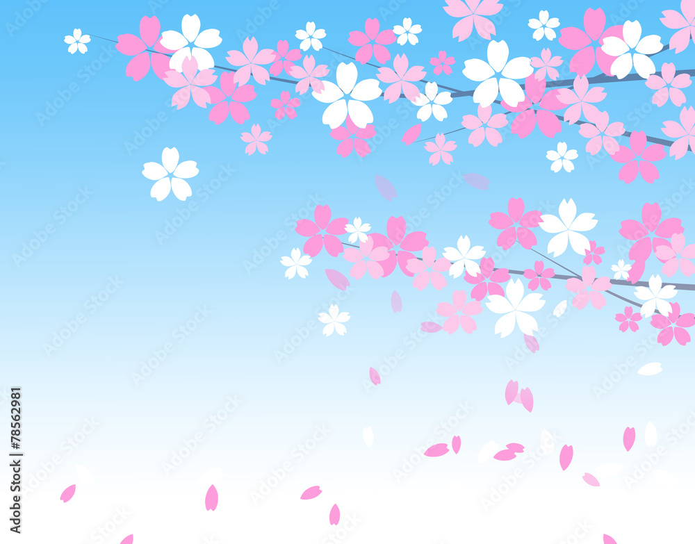 桜