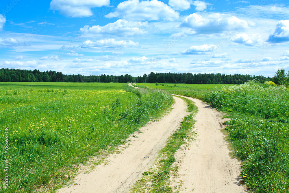 rural summer landscape with the road and a field rural summer landscape with the road and a field