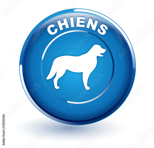 chiens sur bouton bleu
