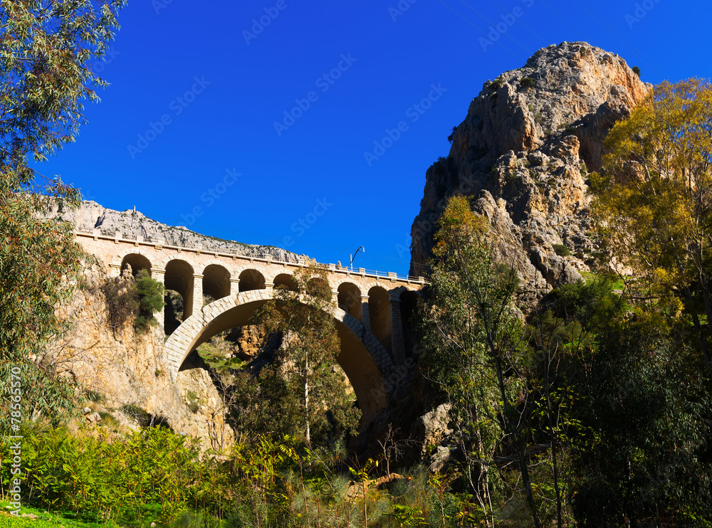 Railway bridge in  mountain
