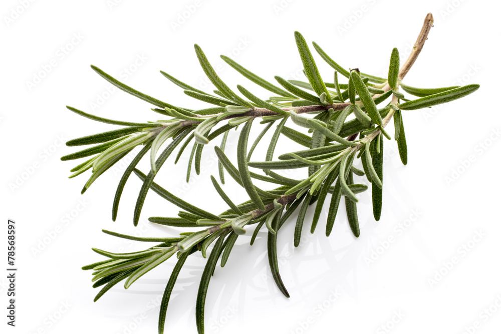 Rosemary. Rosemary.