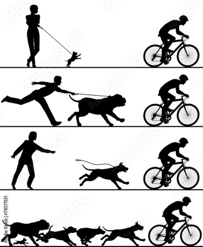 Dogs and cyclist