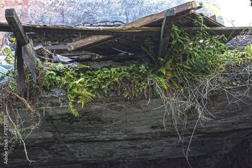 Foto Ruins of shabby building covered by vegetation