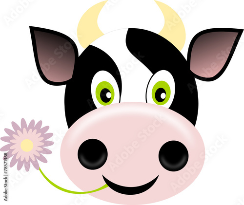 vache