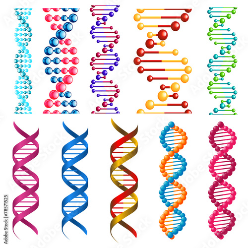 Colorful DNA molecules and cells