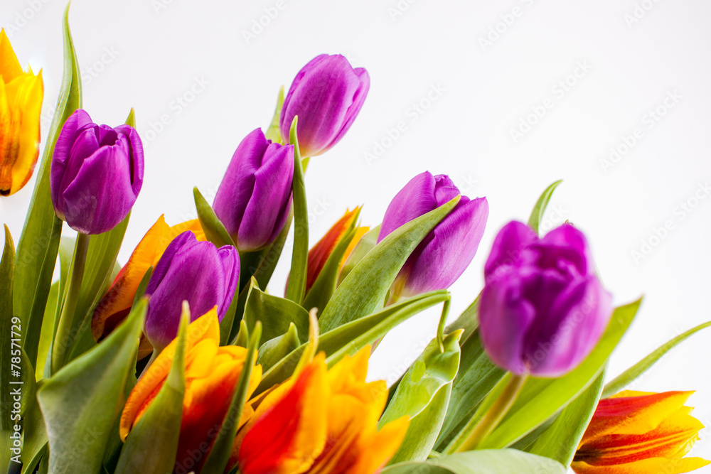 Obraz premium Tulpen Strauss