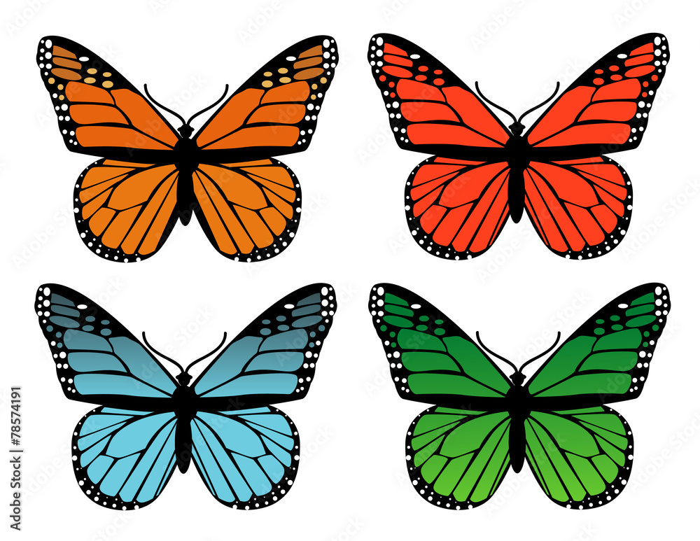 Obraz premium butterflies design