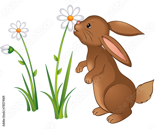 niedliches Kaninchen schnuppert an Blume