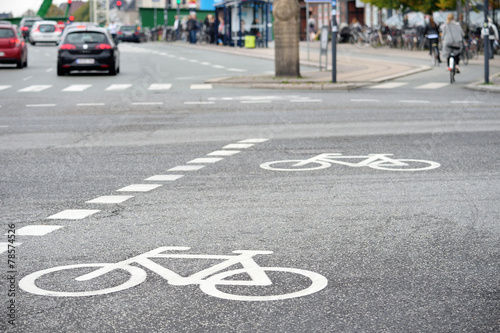 Canvas Print Bike lane and traffic