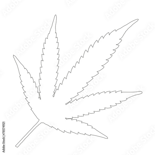 Single Marijuana leaf