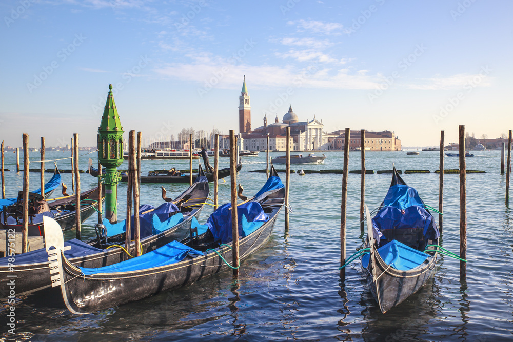 Venezia. L'architettura della città e la sua laguna