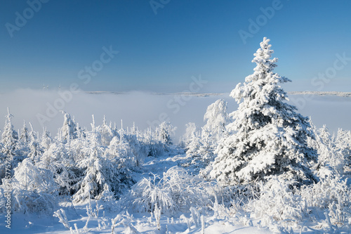Winterlandschaft © Alexander Erdbeer