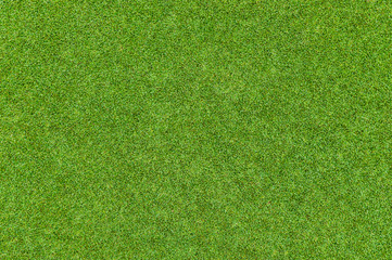 Acrylglasbilder Gras Gepflegtes Golfrasenmuster in Grün  © wuttichok