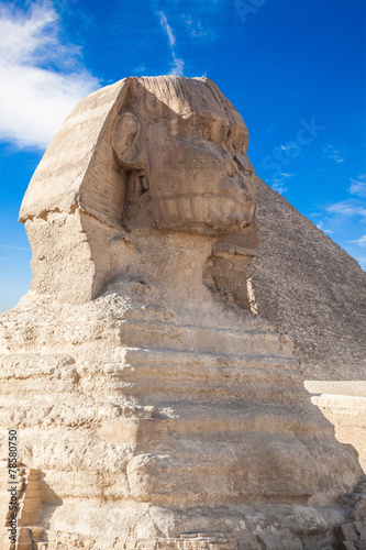 A beautiful profile of the Great Sphinx