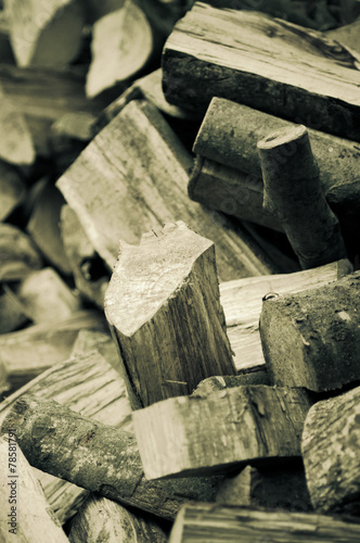 Fototapeta Naklejka Na Ścianę i Meble -  abstract background - firewood stack close up
