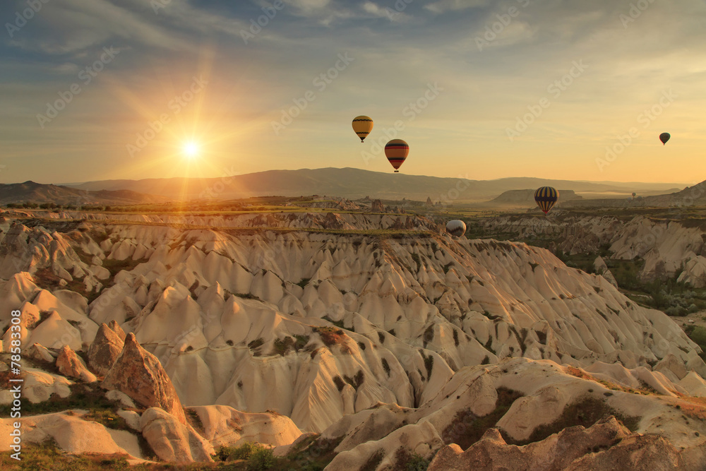 Naklejka premium Hot air balloon flying over rock landscape at Cappadocia Turkey