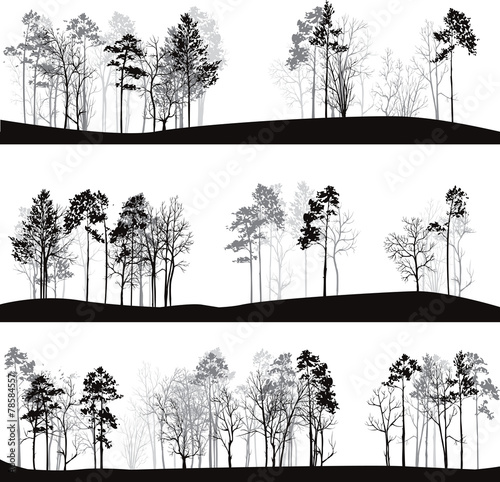 set of different landscapes with pine trees
