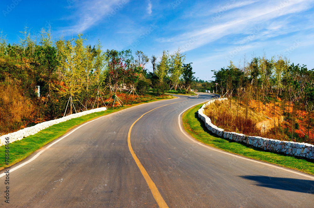 Fototapeta premium Asphalt road and green meadow and blue cloudy sky