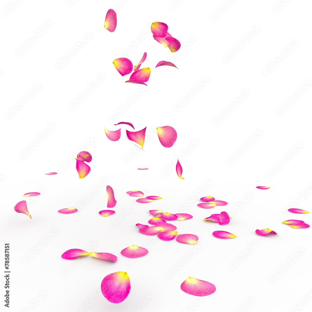 Rose petals fall to the floor Rose petals fall to the floor