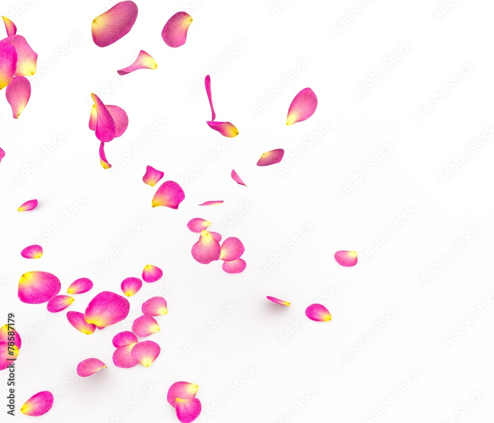 Rose petals fall to the floor Rose petals fall to the floor