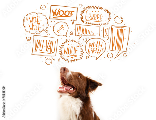 Fototapeta Naklejka Na Ścianę i Meble -  Cute dog with barking bubbles