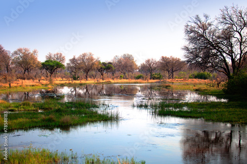 African water reflection