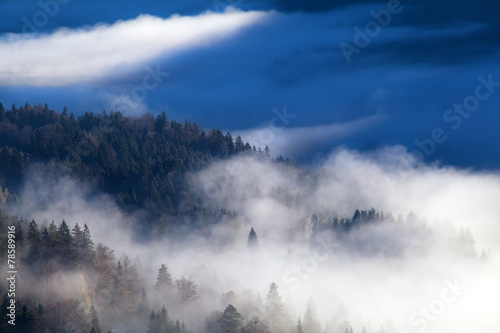 morning fog in mountains © Olha Rohulya