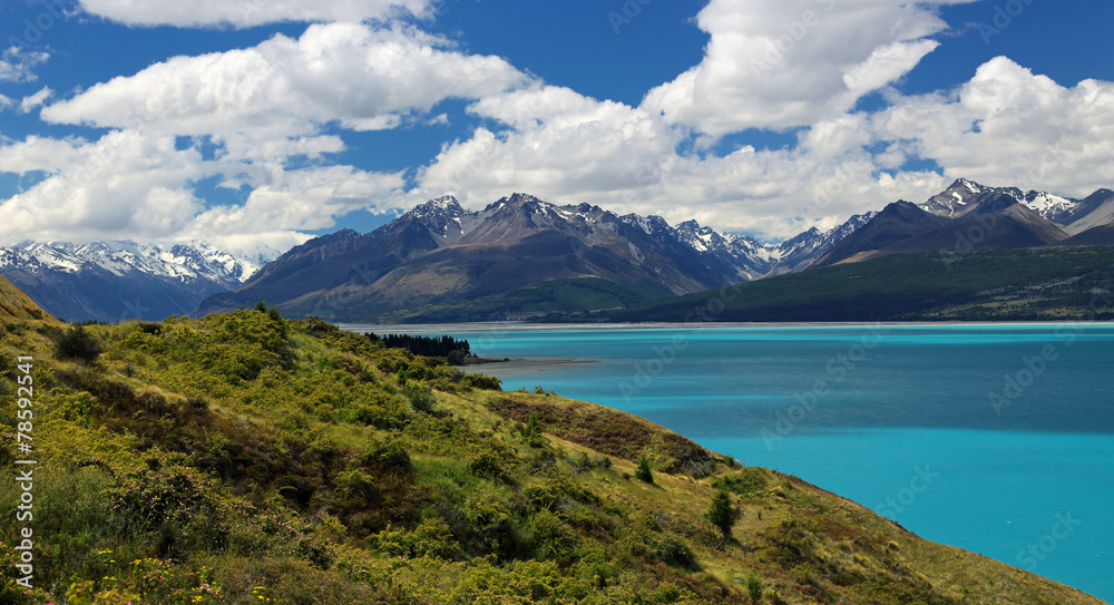 View of Southern Alps over Lake Pukaki, New Zealand