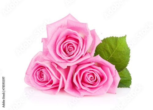 Fototapeta Naklejka Na Ścianę i Meble -  Three pink rose flowers
