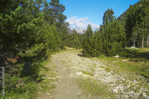senda a camino