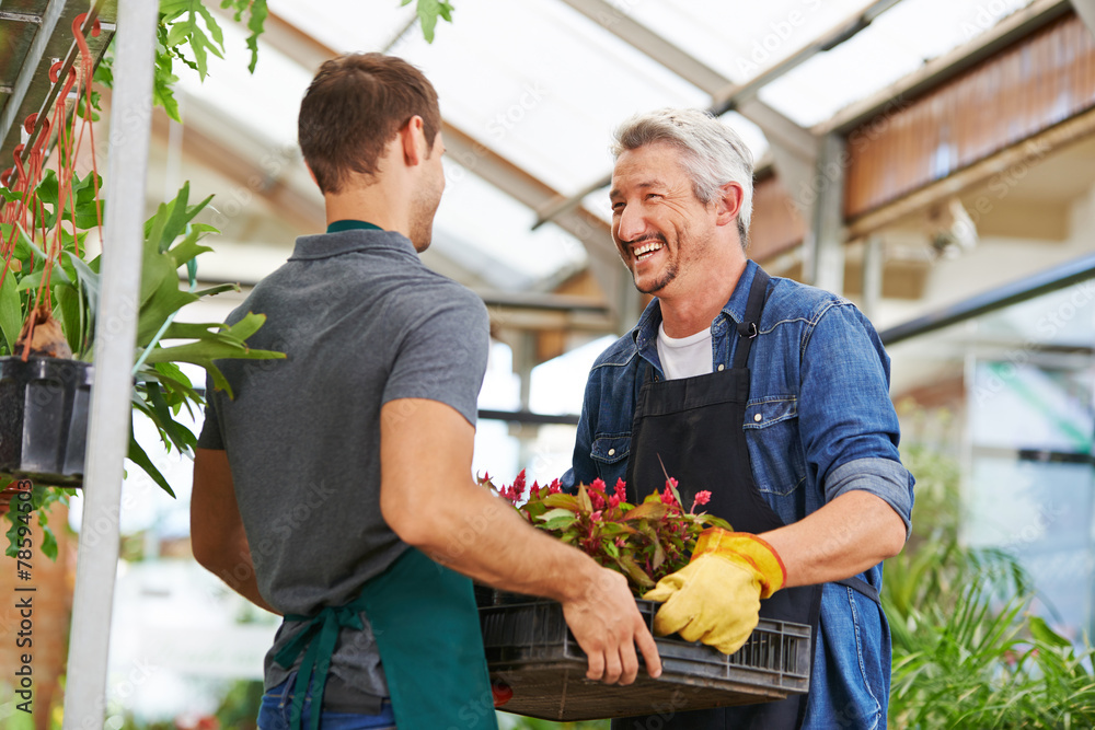 Männer arbeiten als Gärtner im Gartencenter Stock Photo Adobe Stock