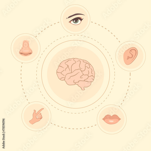 vector five senses icons, human nose, ear, eye