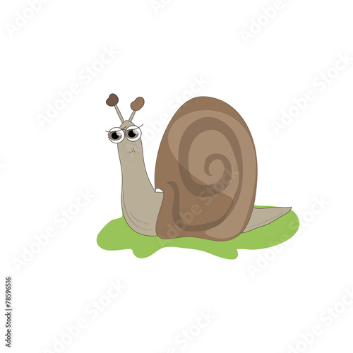 The snail on the grass