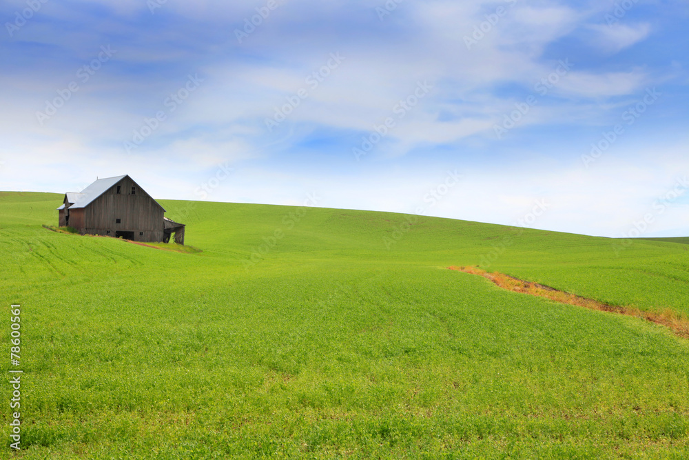 Old abandoned Barn Old abandoned Barn