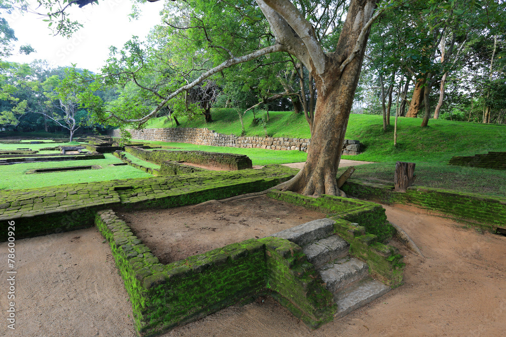 Fototapeta premium old garden in Sigiriya