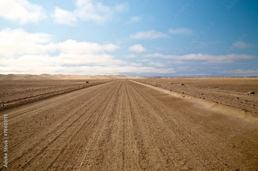 Road in the desert Road in the desert