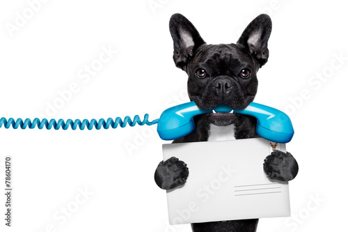 dog phone telephone © Javier brosch