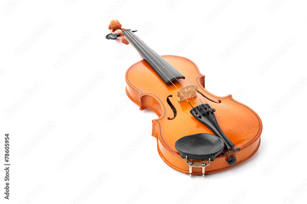 Fototapeta premium violin on white background